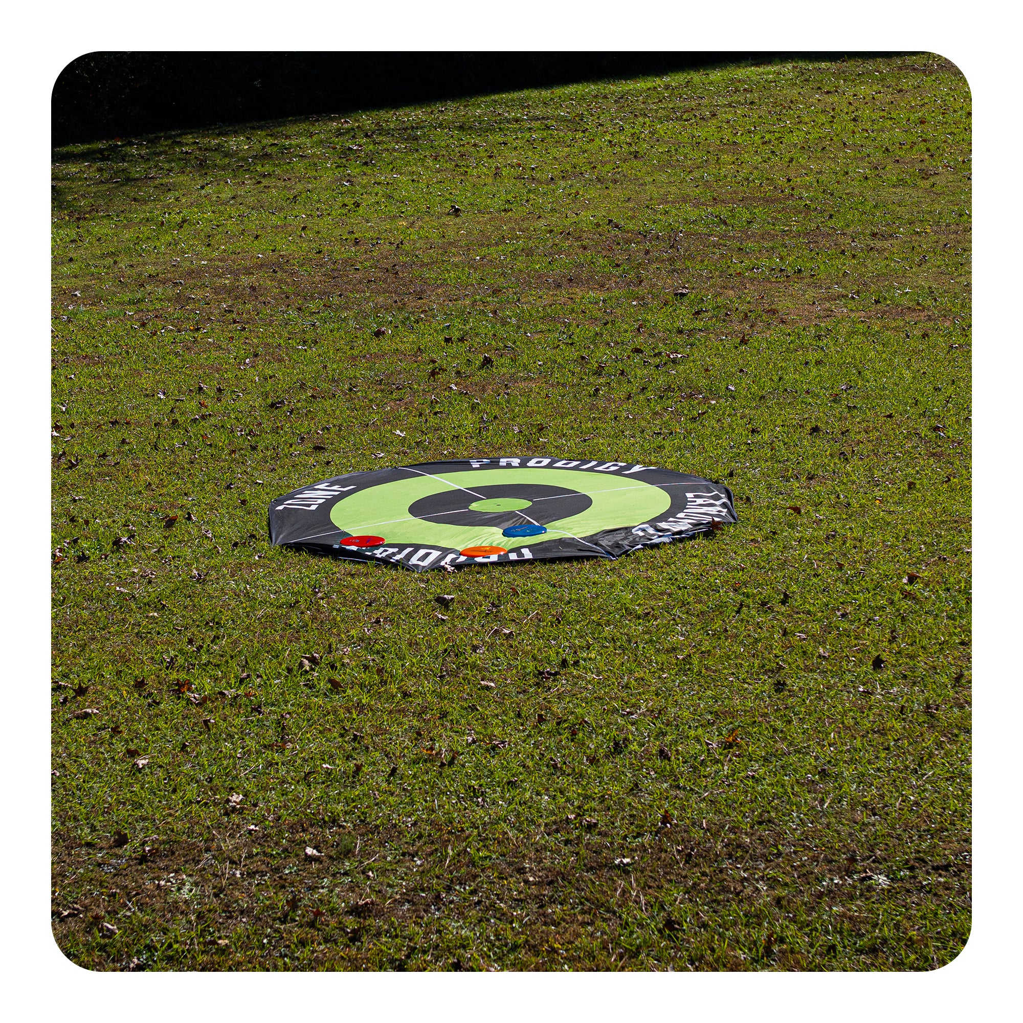 Prodigy Landing Zone - Image 3